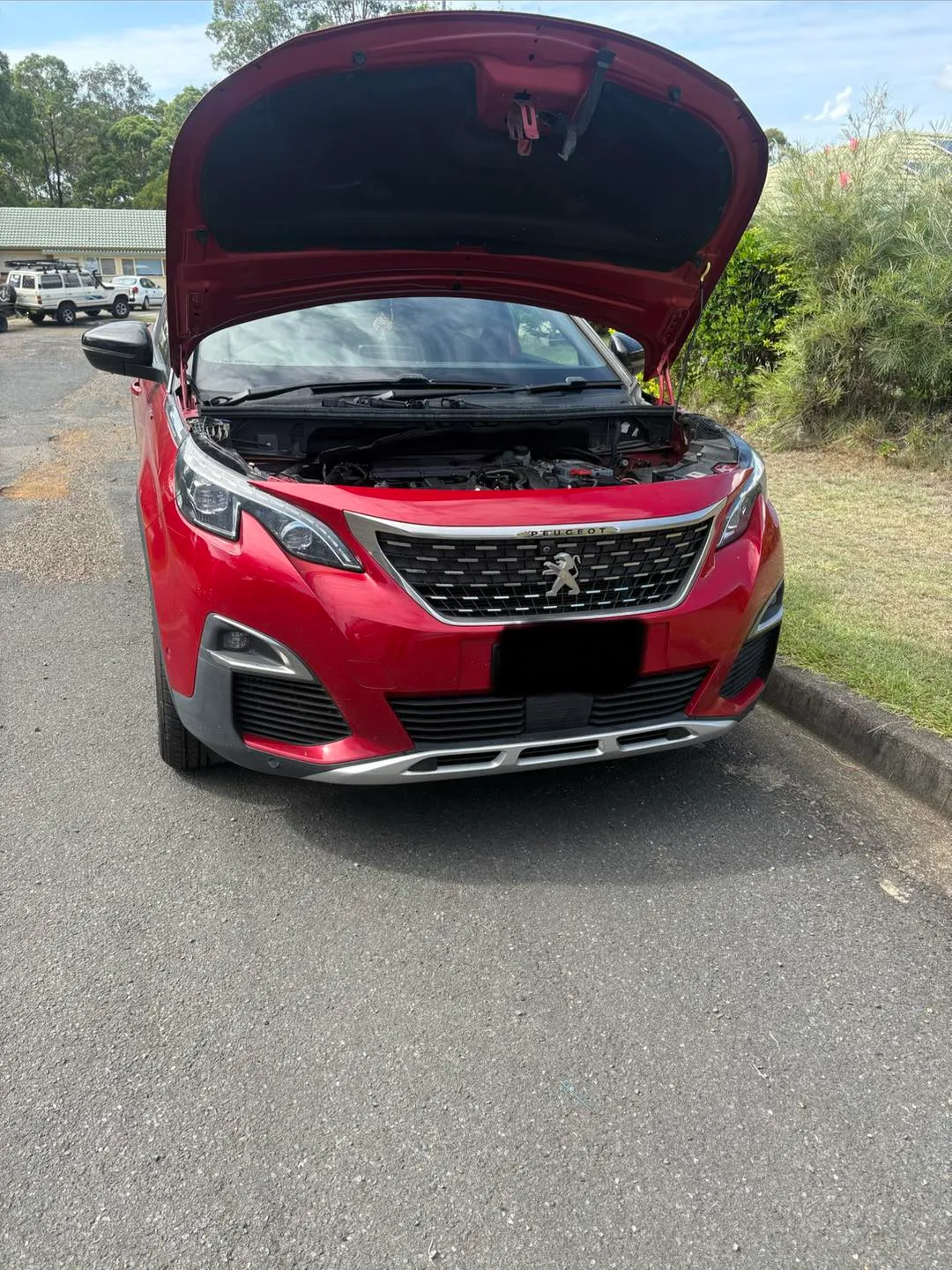 Mechanic diagnosing a Peugeot